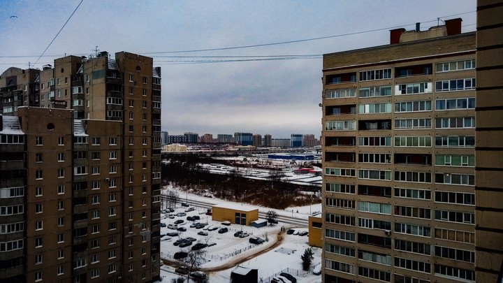 wasteland behind two houses