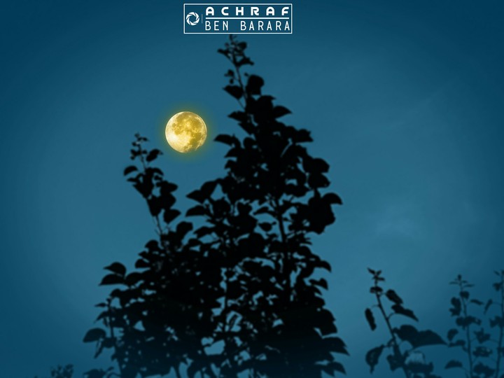 the moon