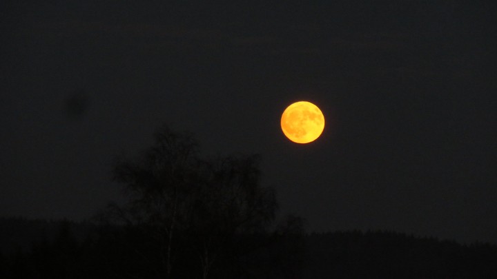 Orange  Moon