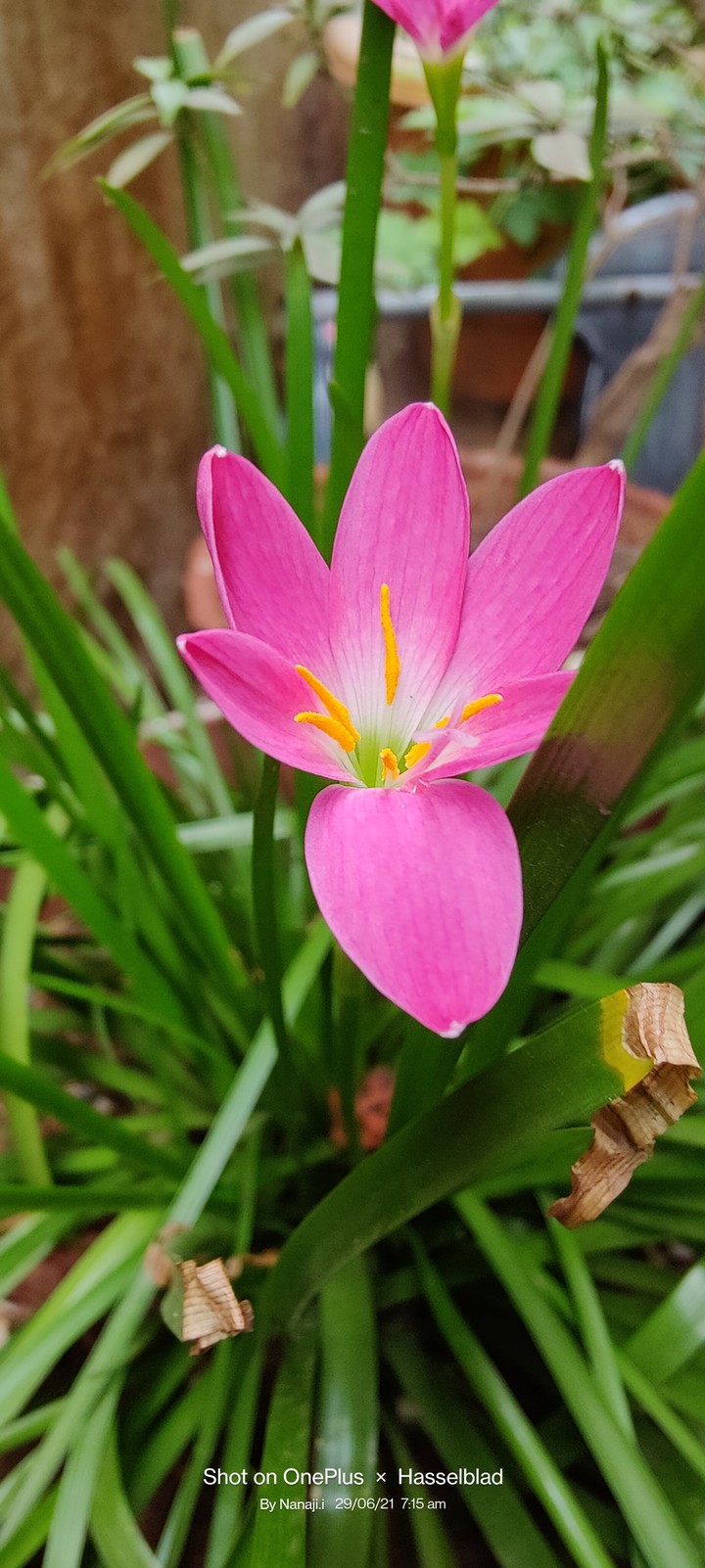 my click