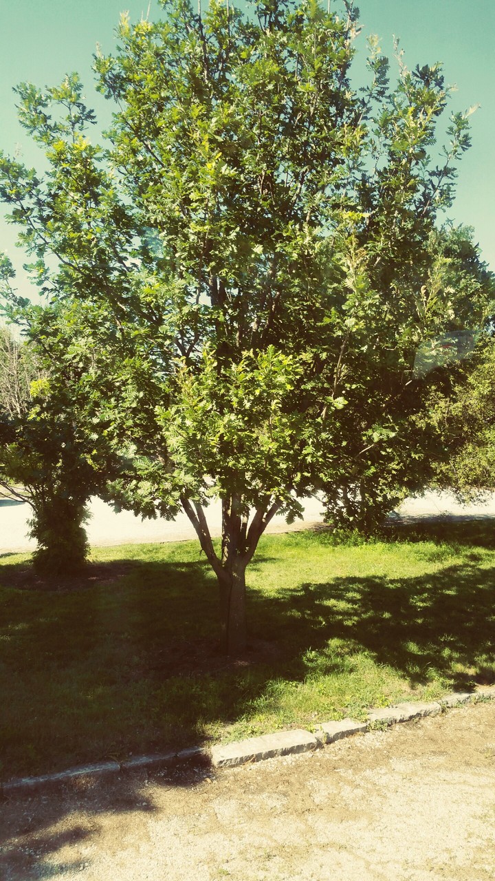 a little bit of green
