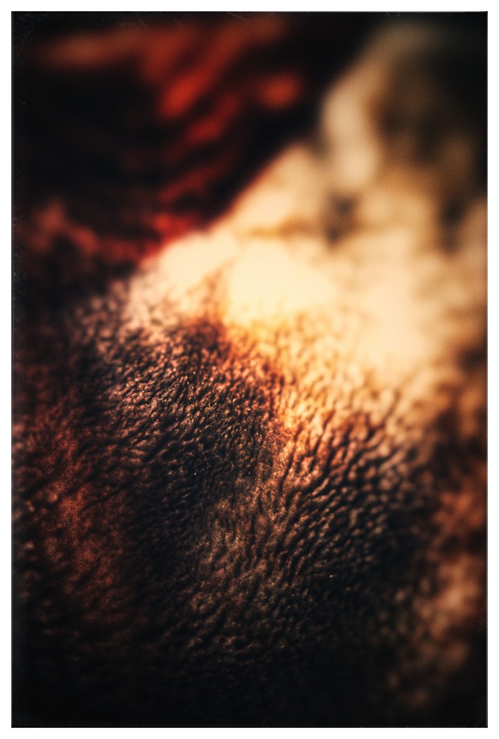 The Burning Forest