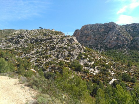 un llarg camí
