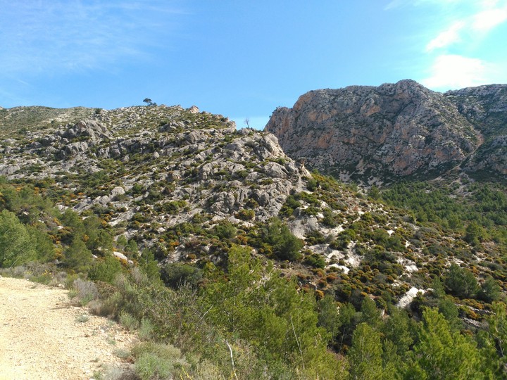 un llarg camí