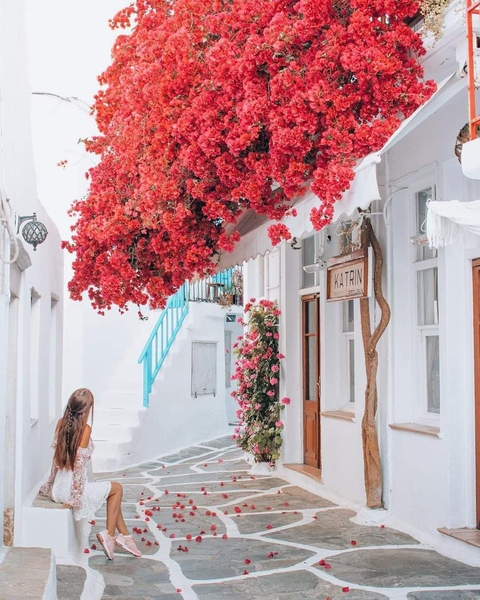 Миконос, Гърция | Mykonos, Greece