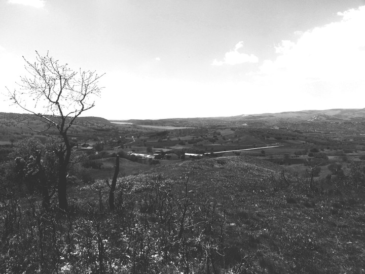 Ankara