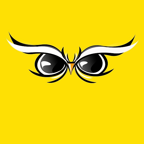 Simple owl design