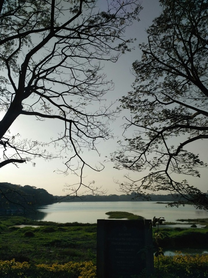 Lake view
