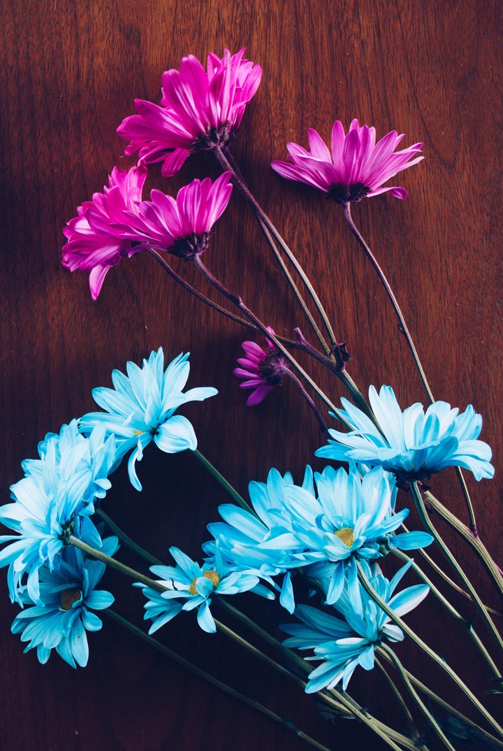Flowersss