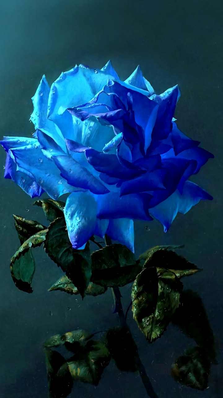blue