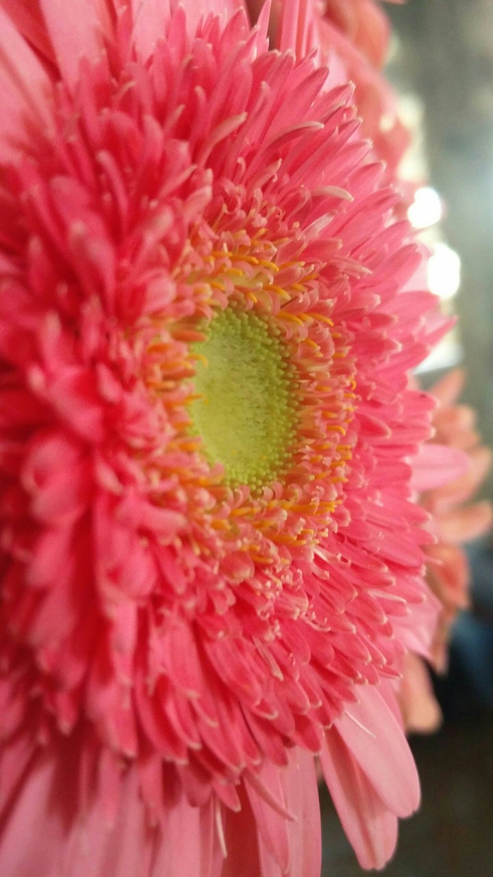 Real Nature
