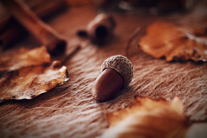 Autumn