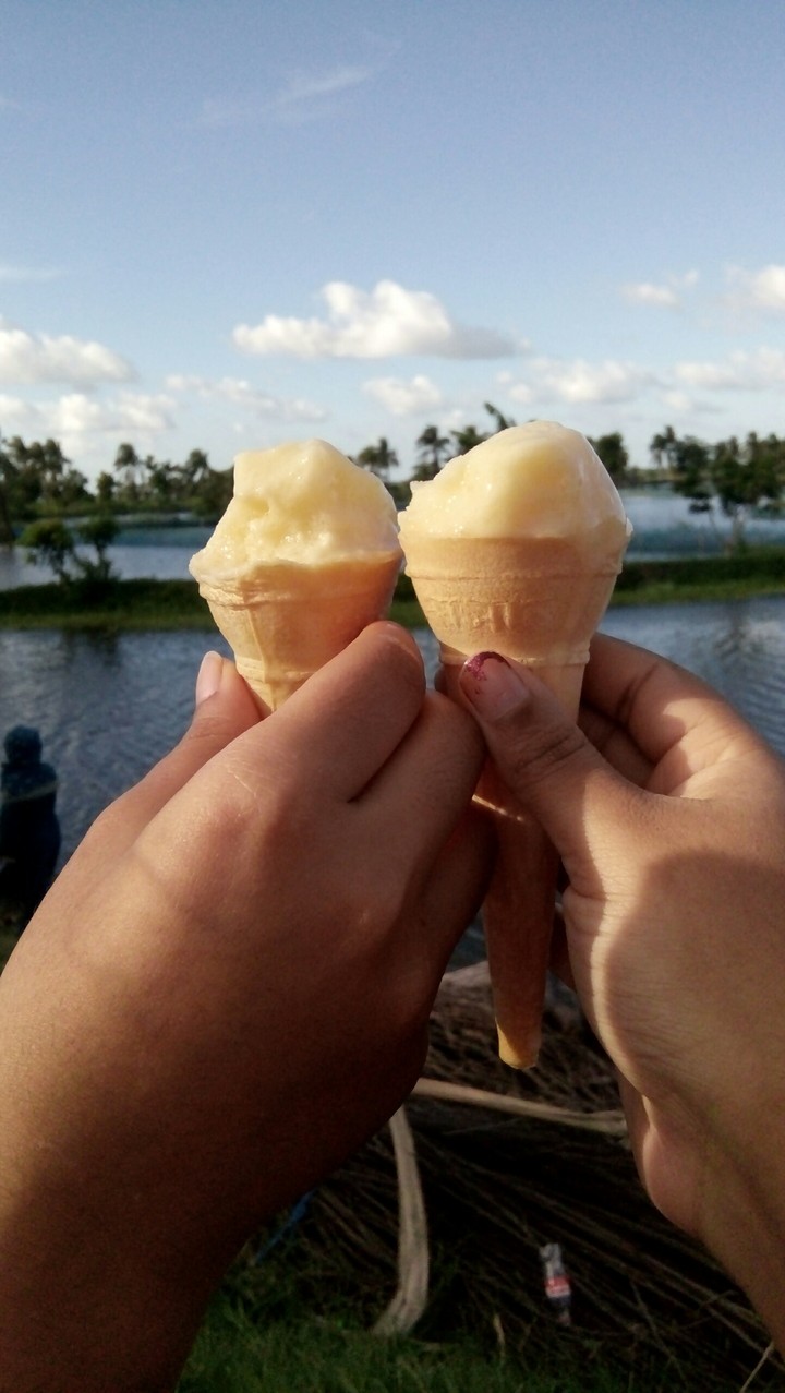 wdut