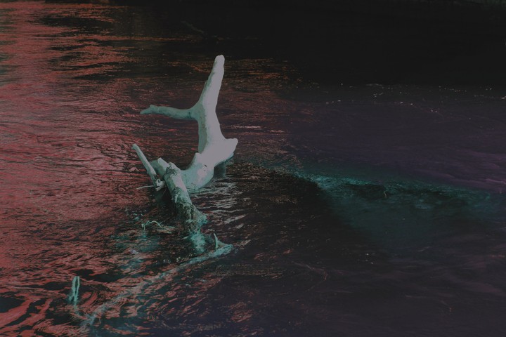 ■□■□
