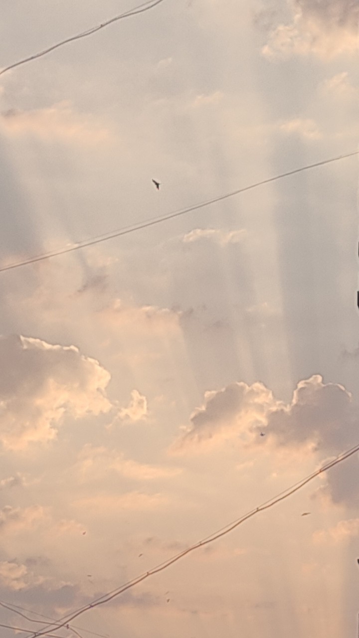 evening