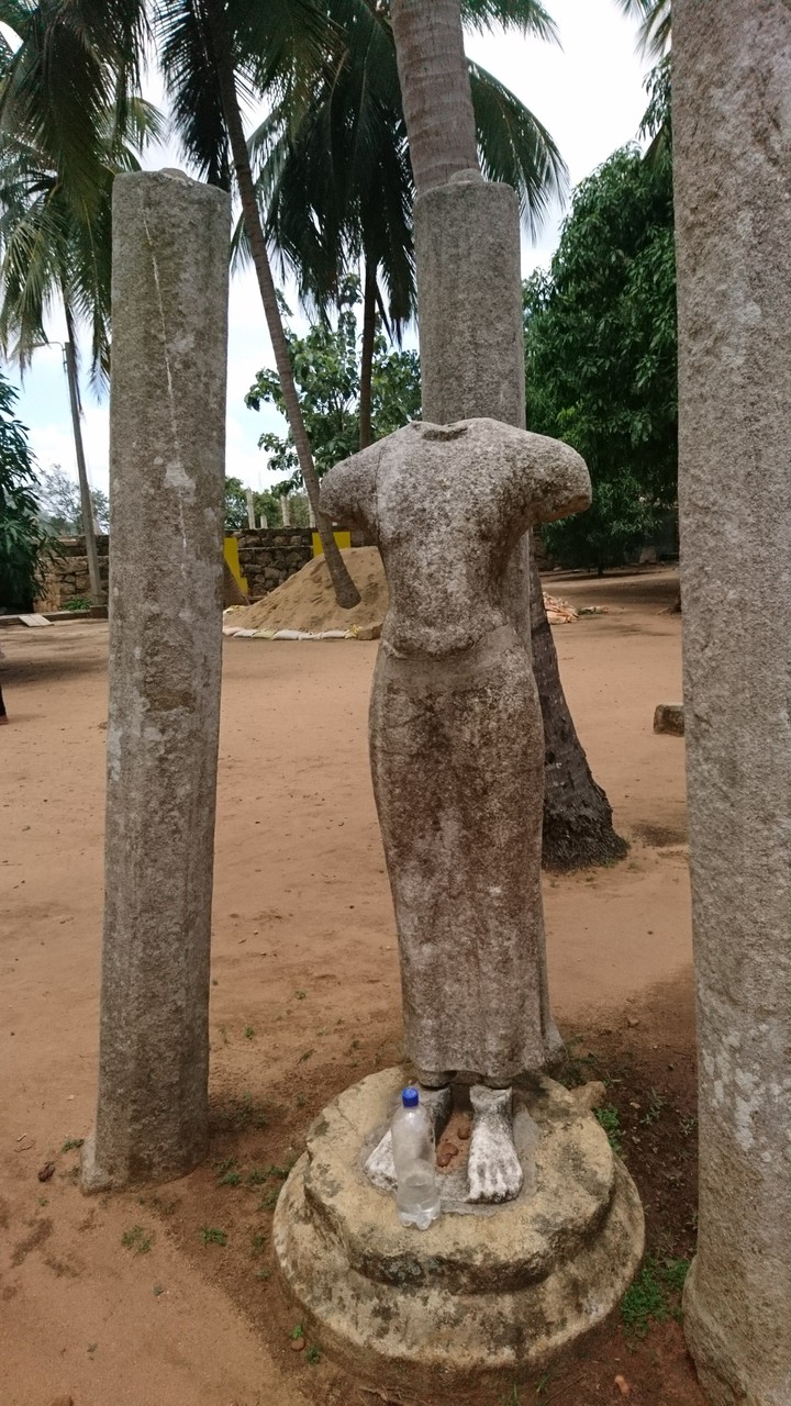 King Suddodana