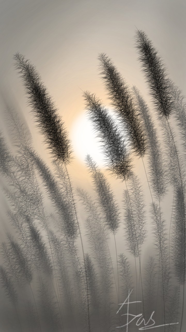 breeze