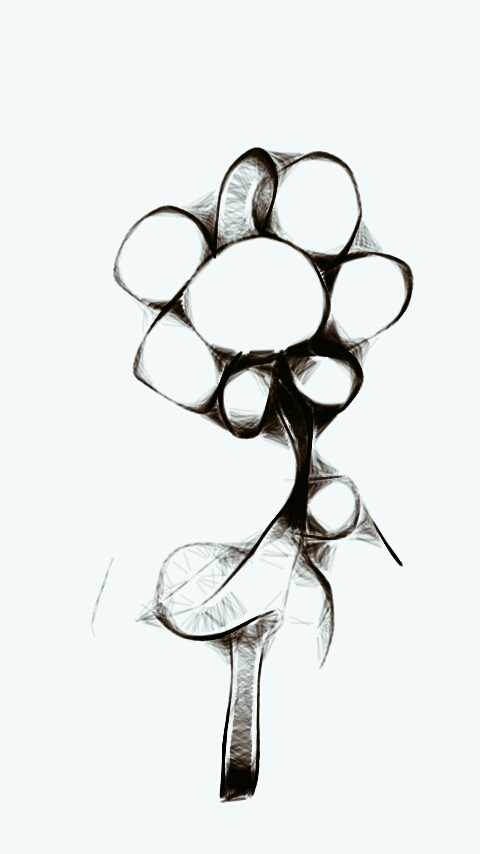 flower of bird