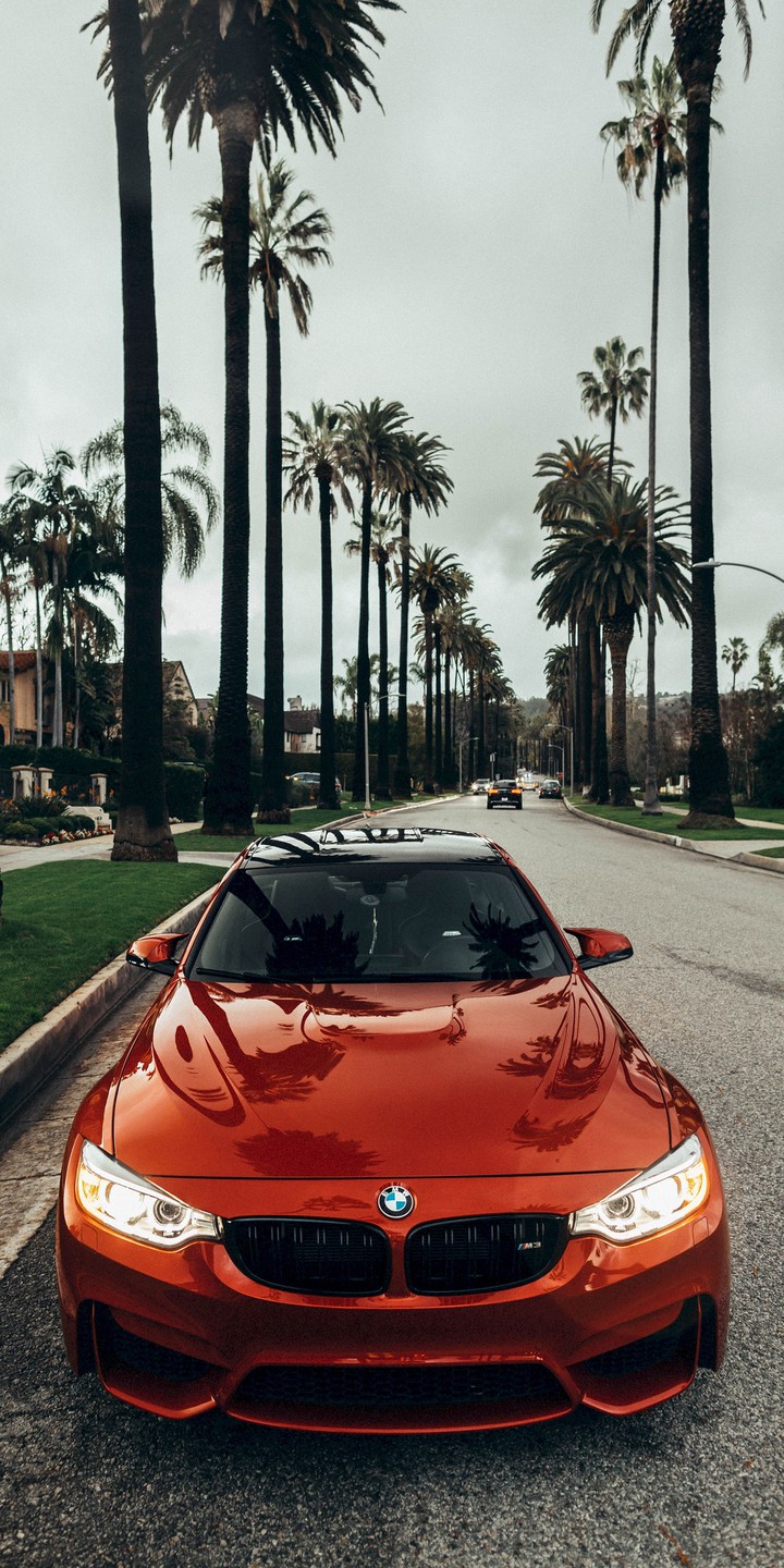wallpaper