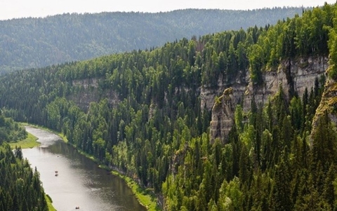 sfondi river, wilderness
