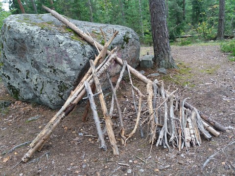 тапети branch, wood