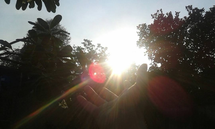 sunlight