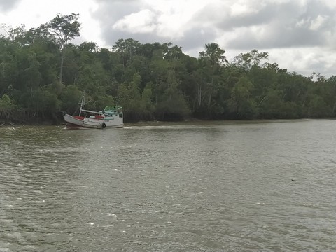 Amazon Boat