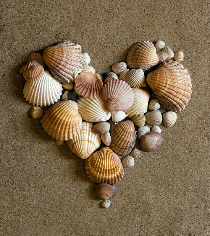 heart shape