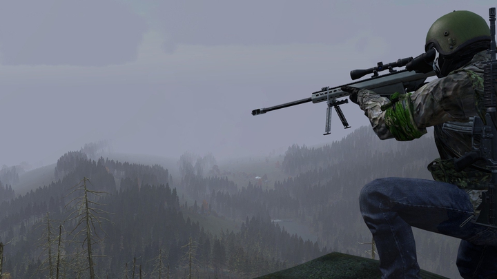 DayZ