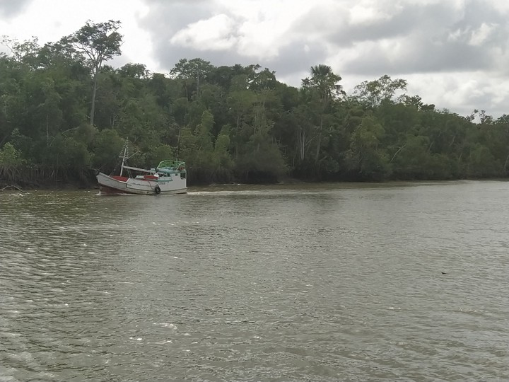 Amazon Boat