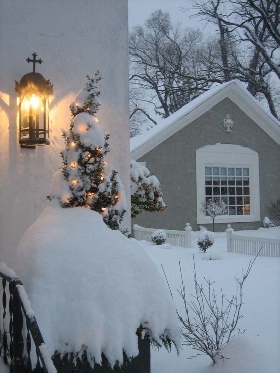 winter
