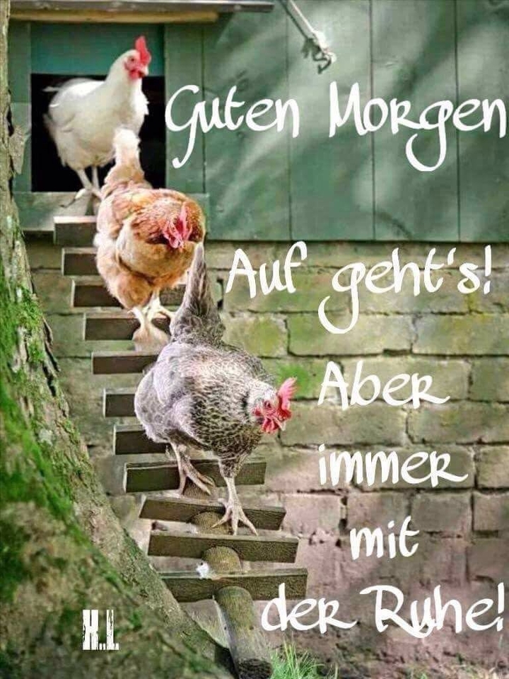 Hallo
