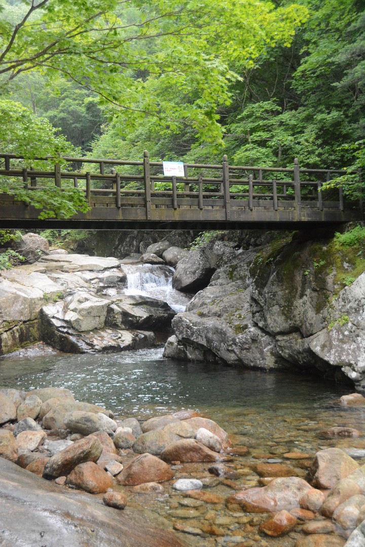 지리산이미지