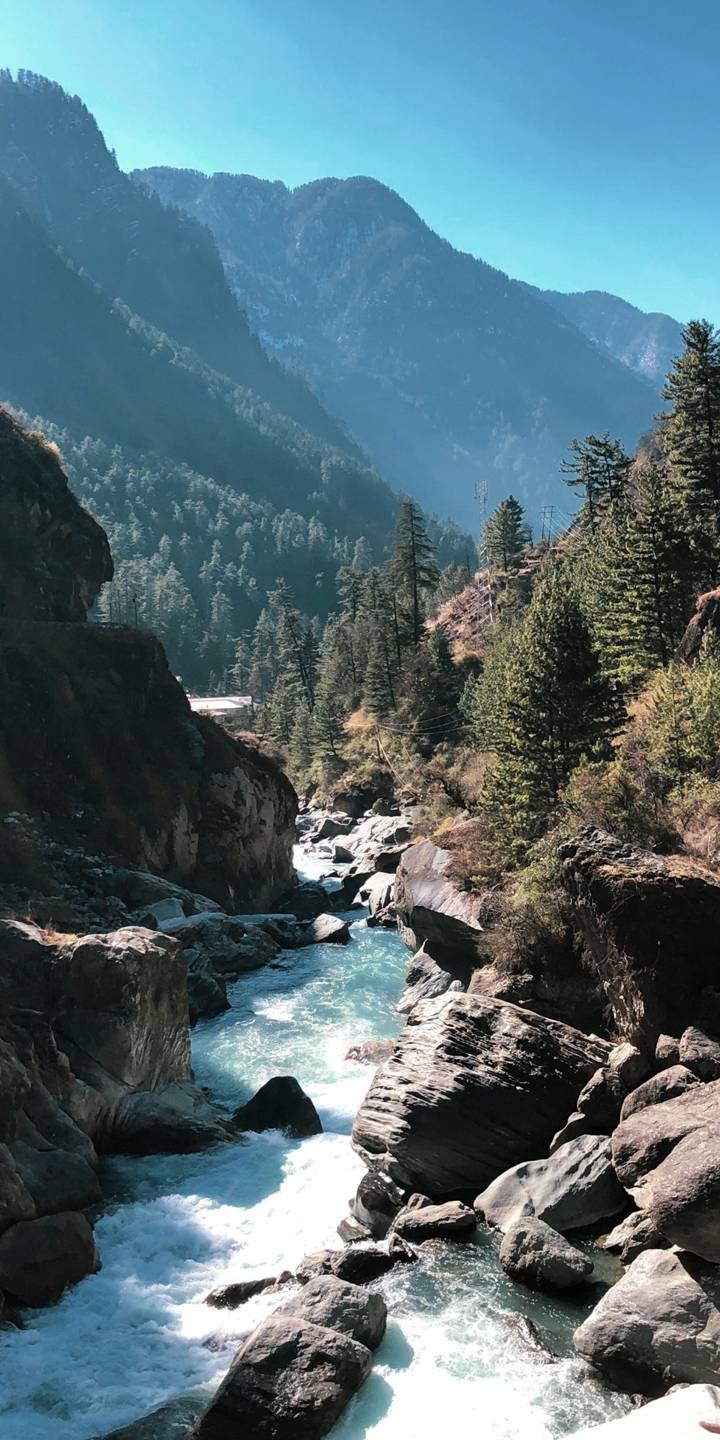 nature
