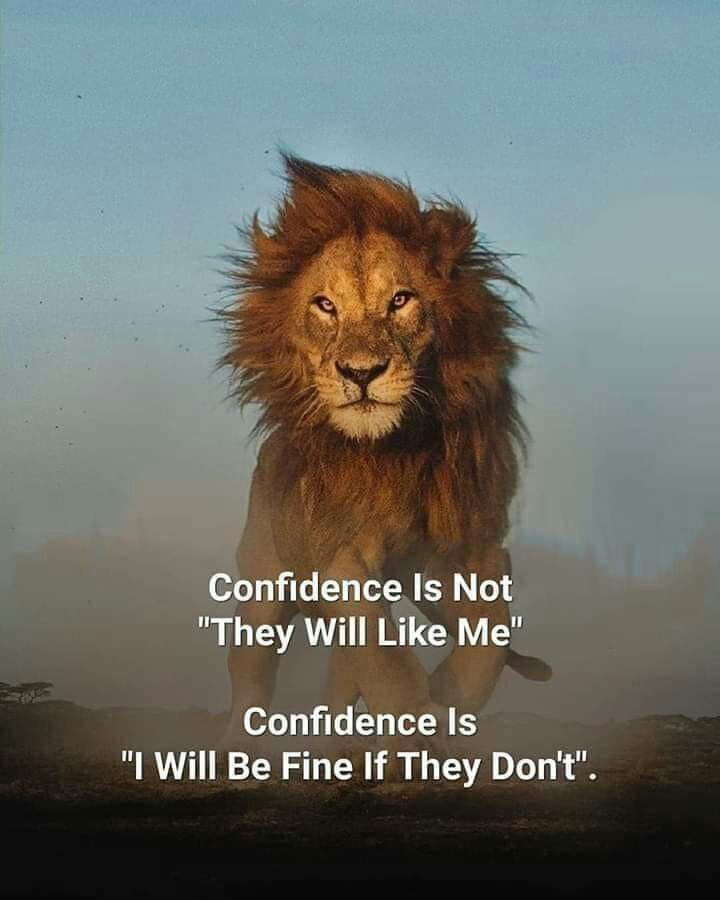 confidence quotes