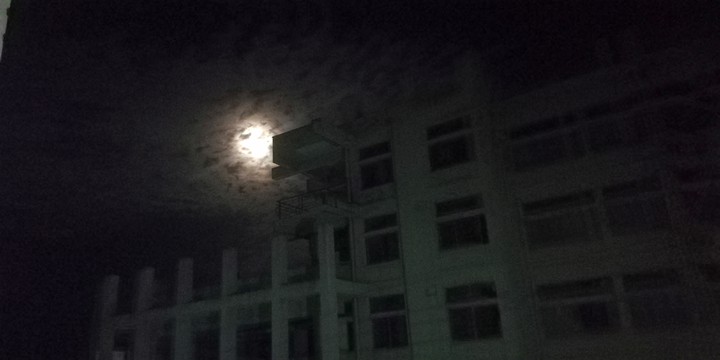 night