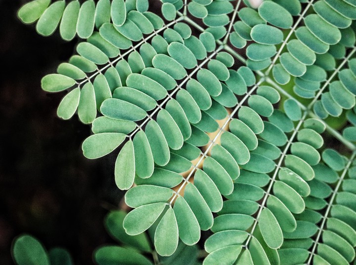 beautiful nature clicks