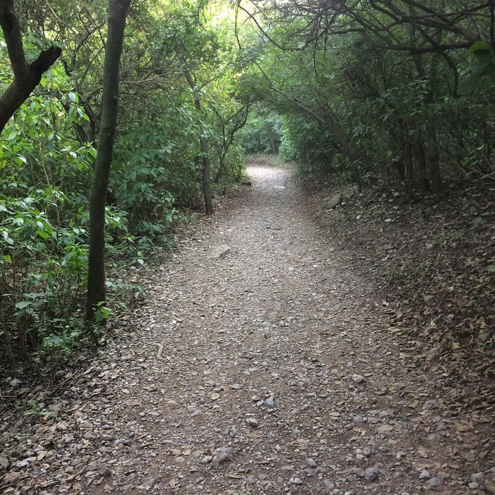 Hiking