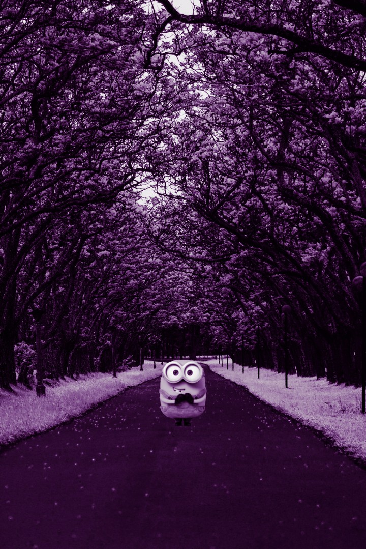 minion