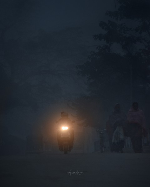 Foggy Morning 1