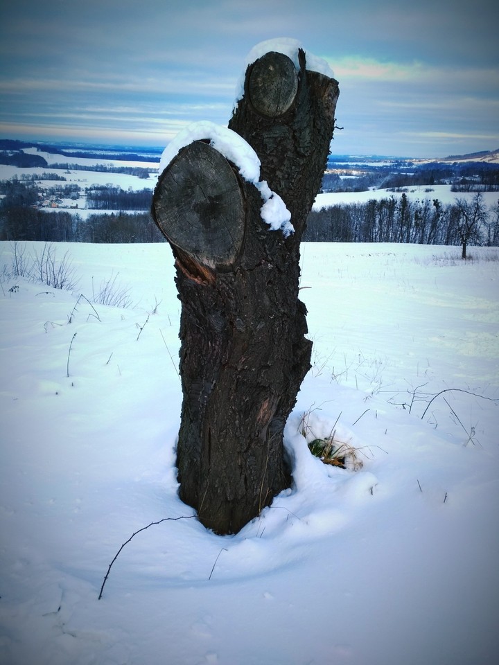 Winter in nature