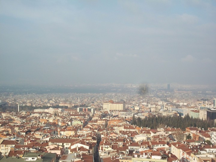 Bursa