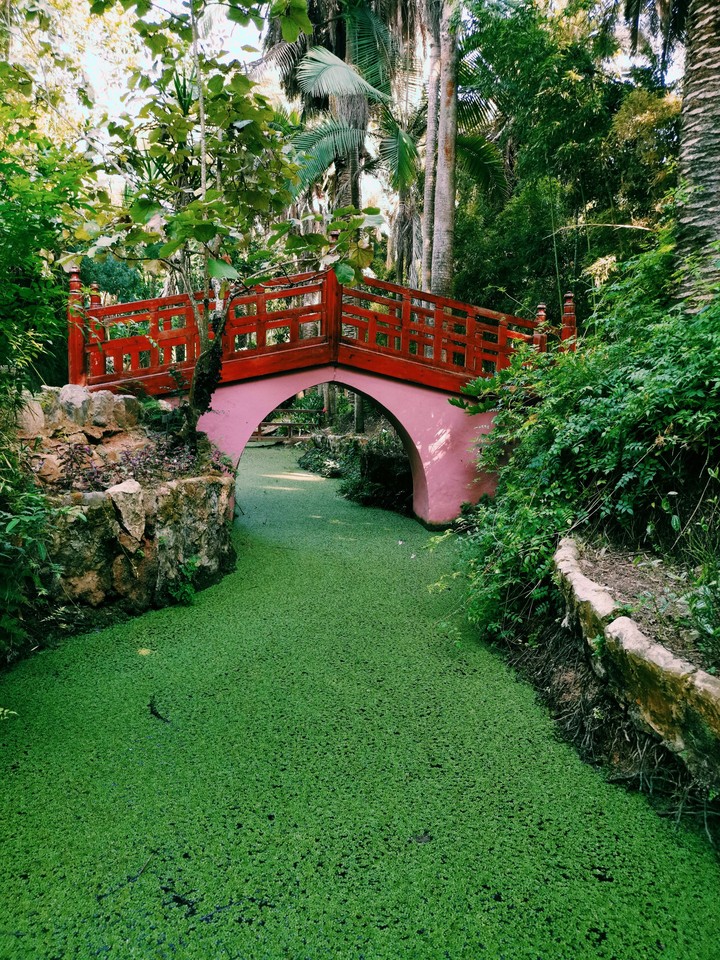 Jardin