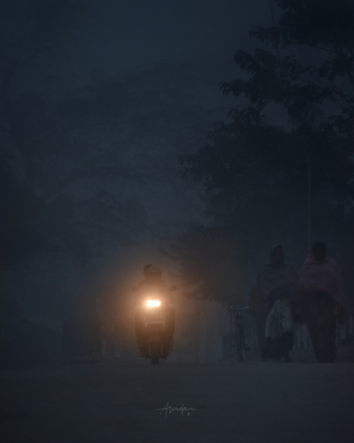 Foggy Morning 1