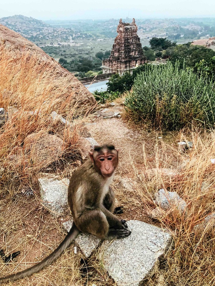 Goa