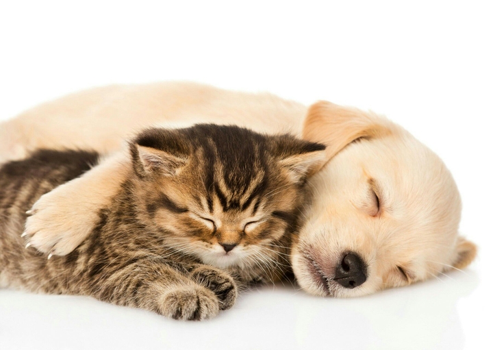 I Want A Warm Hug Like This