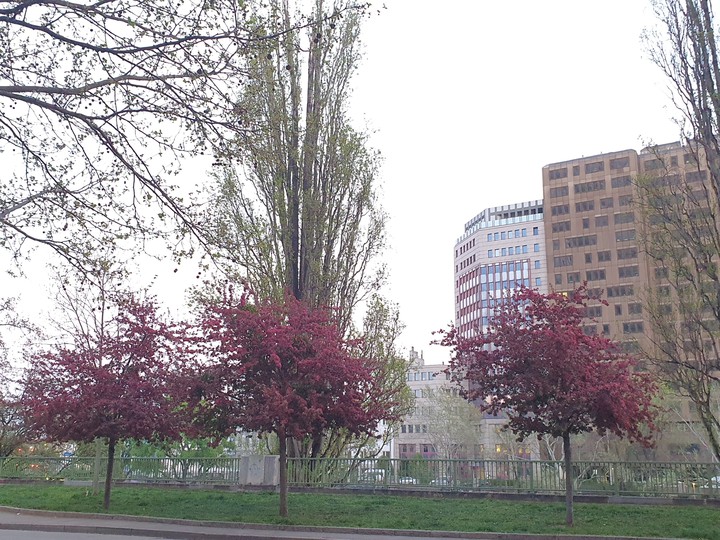 Frühling spring بهار