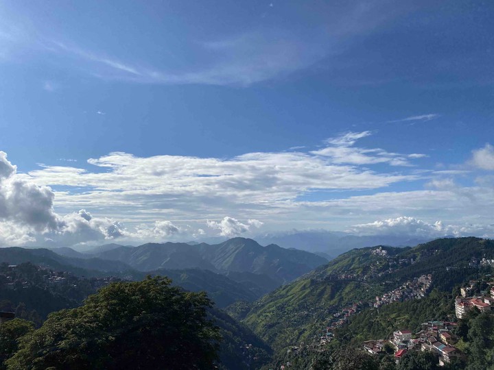 Shimla Dairy