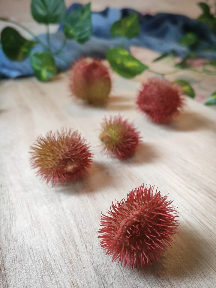 Urucum