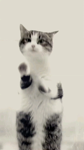 hii